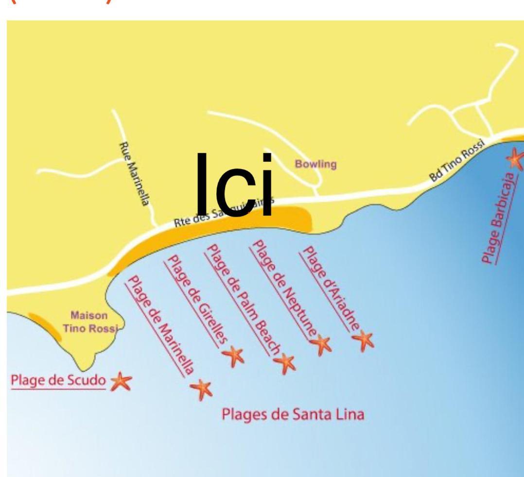 Superbe Pieds Dans L Eau Ajaccio Face A La Mer Plage De Sable Fin Route Des Iles Des Sanguinaires Eksteriør bilde
